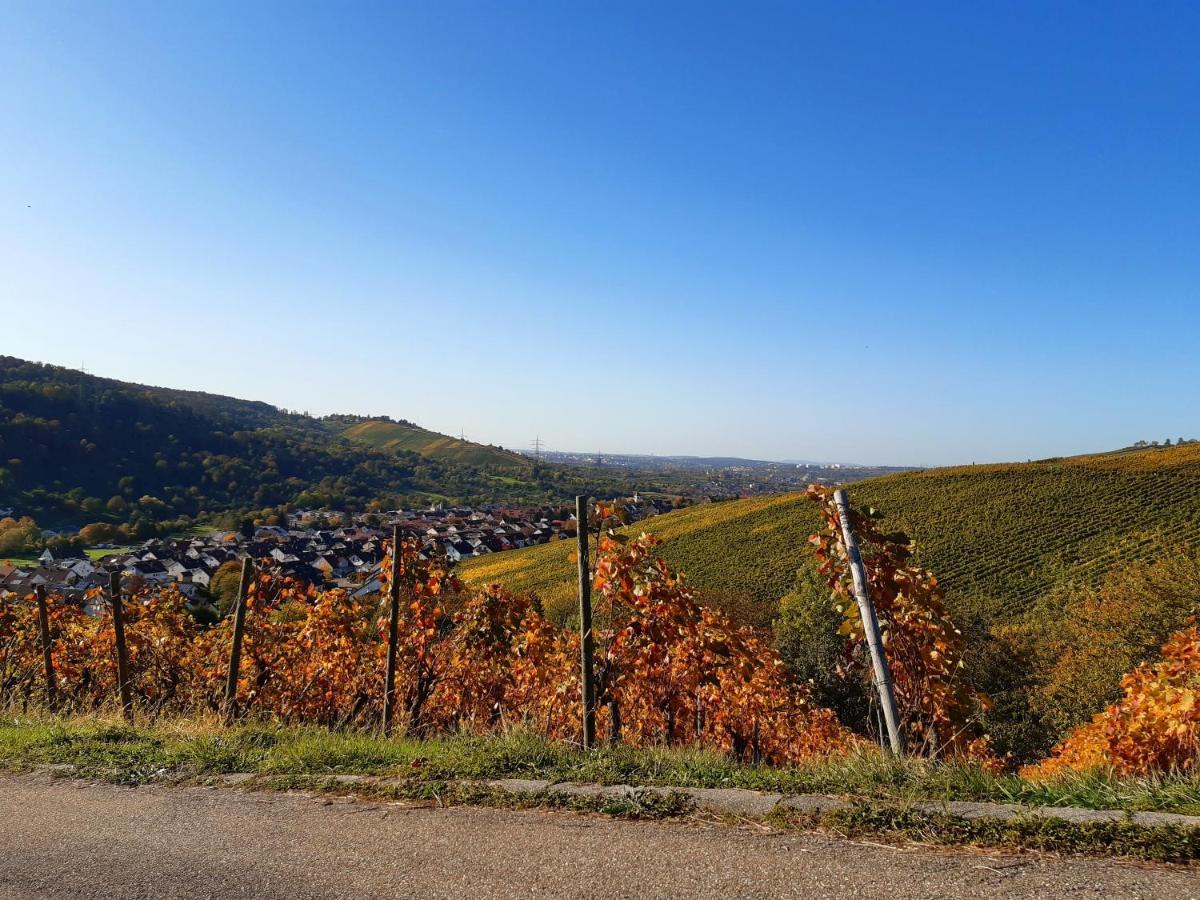 Remstal Hotel Weinstadt Dış mekan fotoğraf